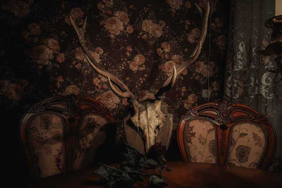 Квест в реальности Реинкарнация от компании Атмосфера Квест в реальности Реинкарнация от компании Атмосфера