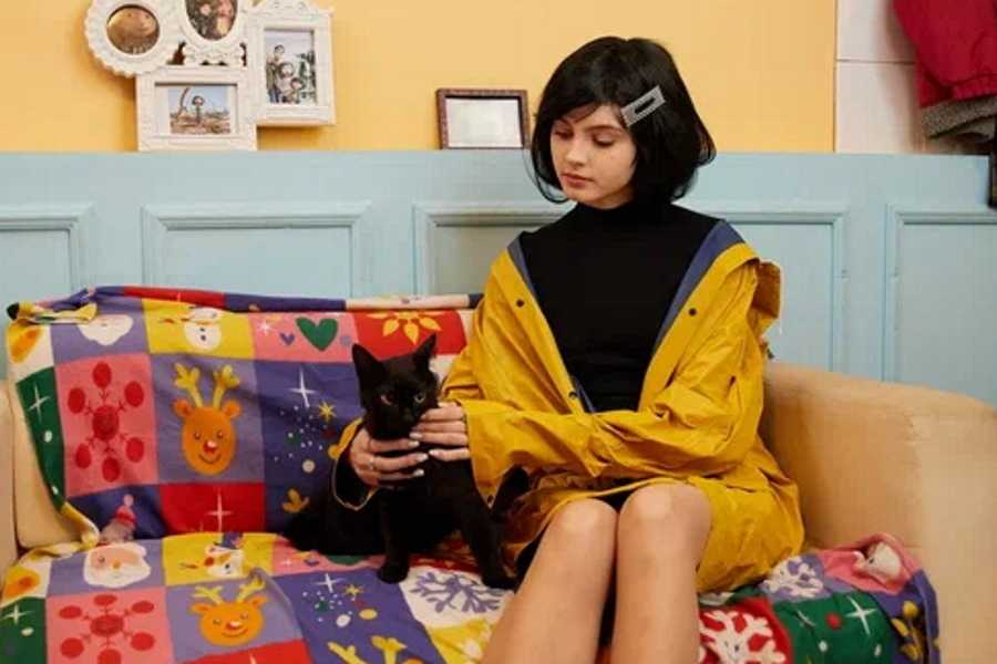 Квест в реальности Коралина в стране кошмаров от компании Quest Stars/Че за квест Квест в реальности Коралина в стране кошмаров от компании Quest Stars/Че за квест