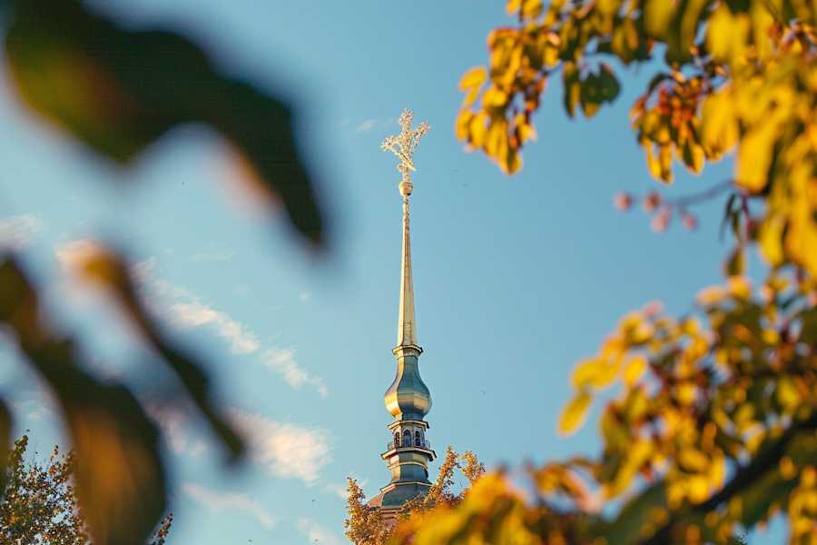 Квест в реальности Секреты южной столицы от компании iStep Квест в реальности Секреты южной столицы от компании iStep